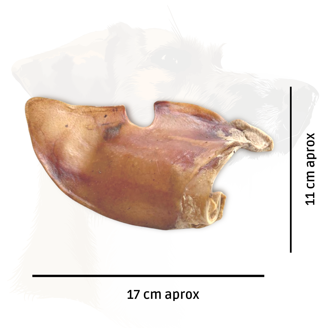 snacks de oreja de cerdo, 17cm aprox, el tamaño puede variar  ya que es un producto natural GLE Pets